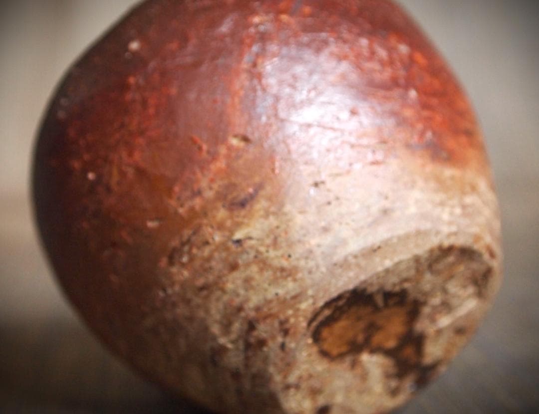 人気作家☆星正幸【師：森陶岳】☆備前ぐいのみ☆共箱・布・