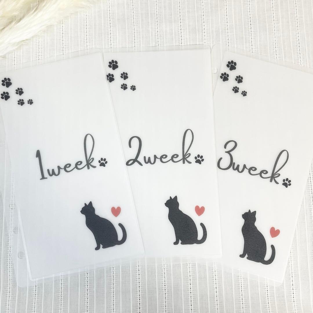 savingリフィル week《ねこ》6枚セット - メルカリ