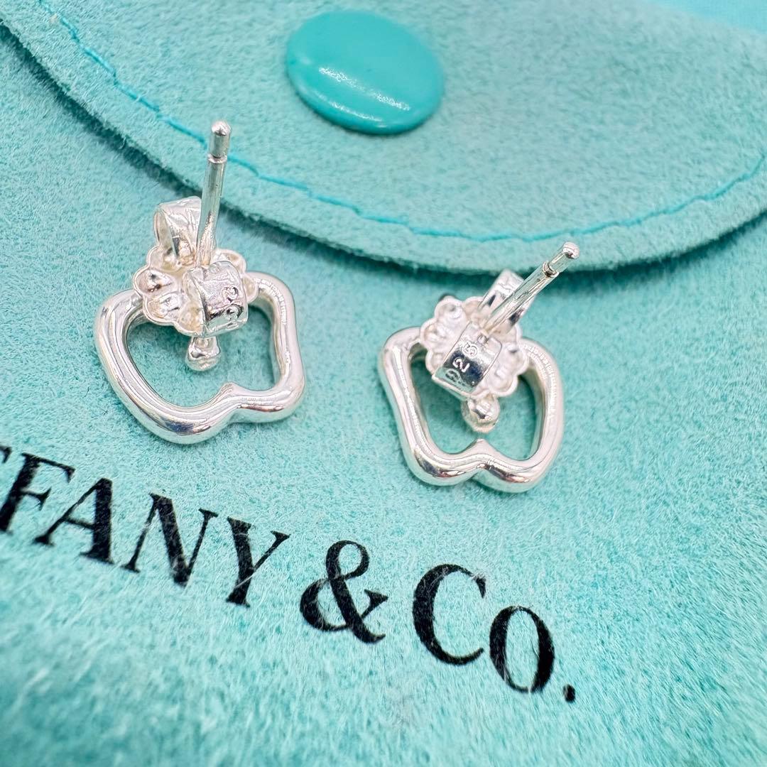 極美品】ティファニー アップルモチーフピアス ミニサイズ 巾着袋