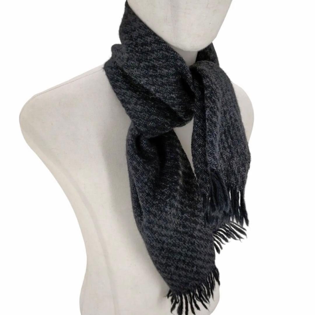 サザナミマラガシーハナムグリ3色3頭セット！特上個体！