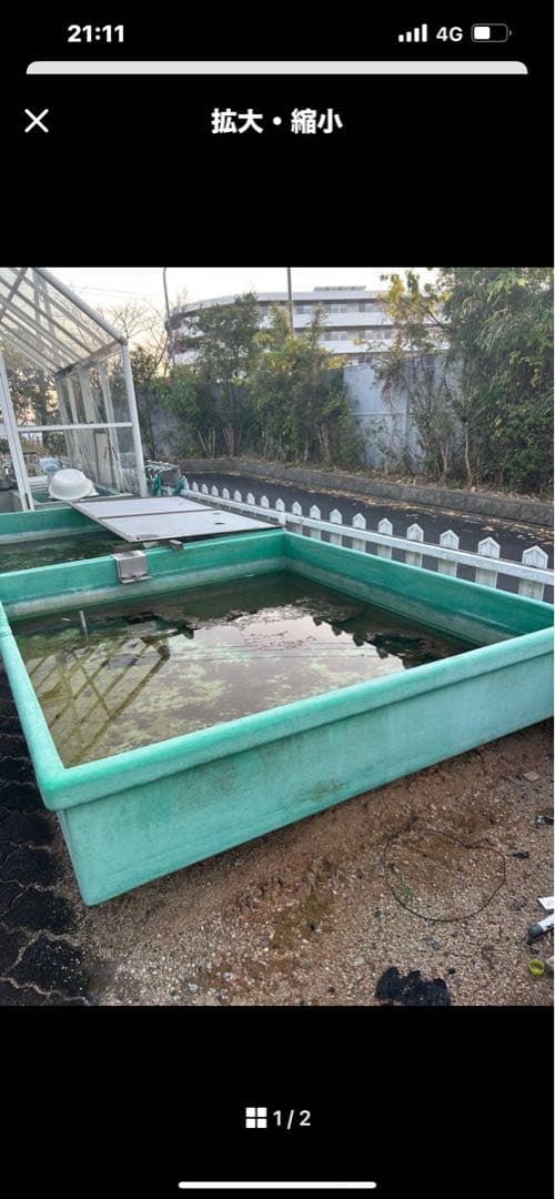 大型緑色水槽・池｜60型 大型緑色タンク 水槽・池用 水槽プール 池