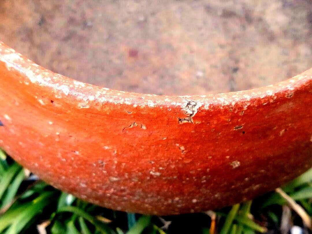 ♥大変に古い 信楽 茶碗 桐箱付き 骨董品