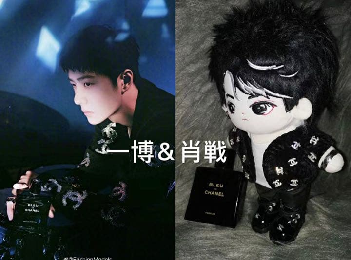 ご確認用 王一博 ぬいぐるみ 20cm お洋服 着せ替え ハンドメイド 受付