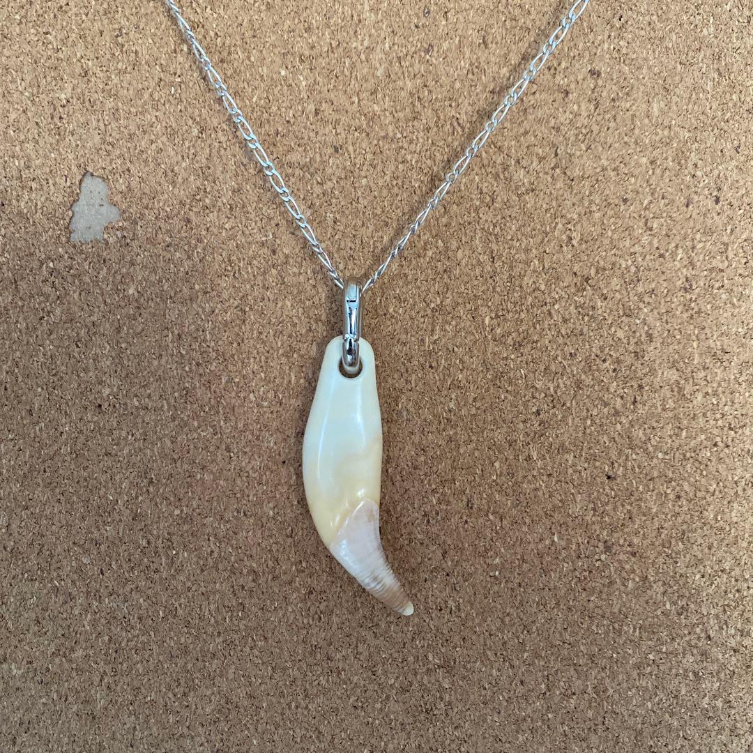 熊の牙 ツキノワグマ 牙 ネックレス キーホルダー 魔除け トップのみ