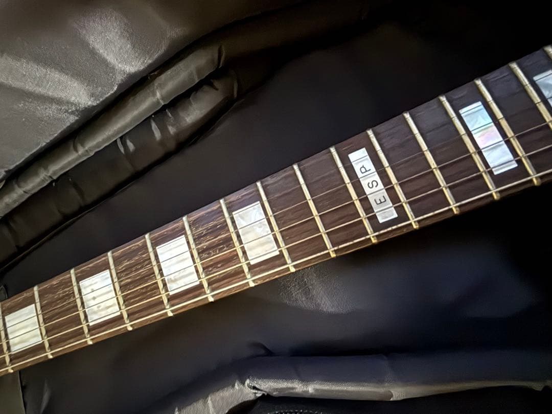 ESP カスタムオーダー　レスポールエレキギター