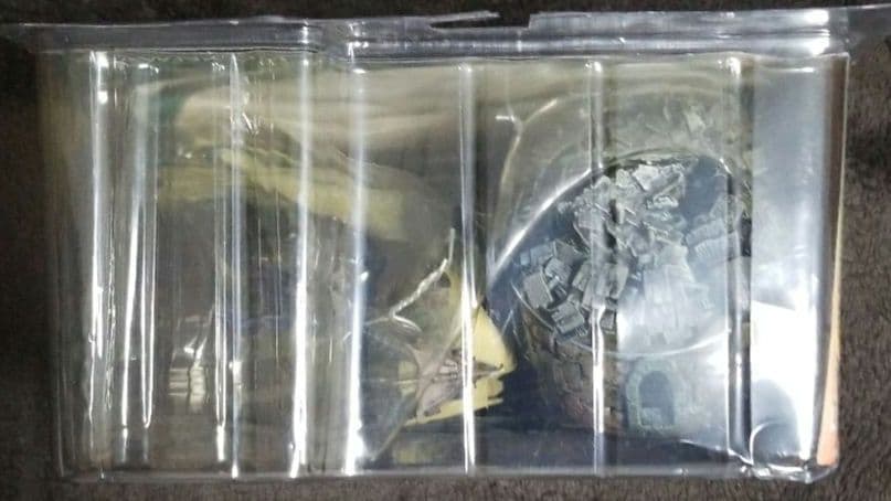 エターナル　クラン　ドラゴンシリーズ 1