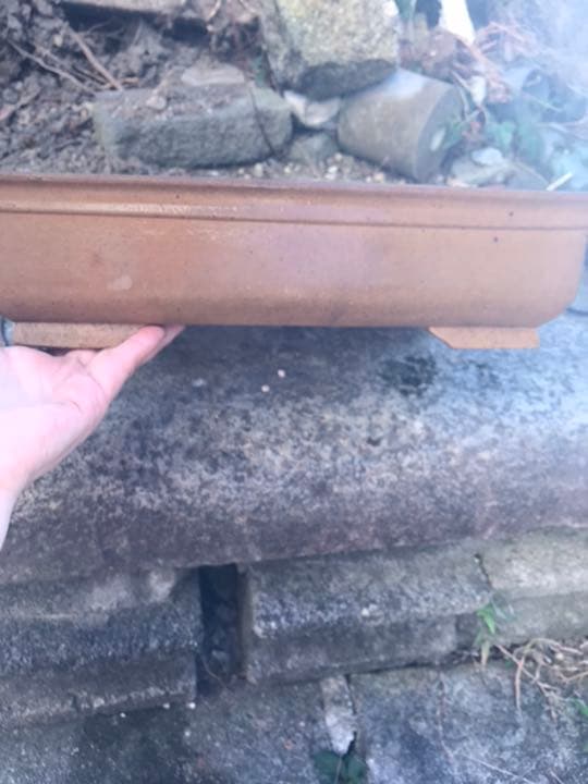 盆栽鉢　④時代銭号長方盆栽鉢黄銅色烏泥 盆栽鉢 ④時代銭号長方盆栽鉢黄銅色烏泥