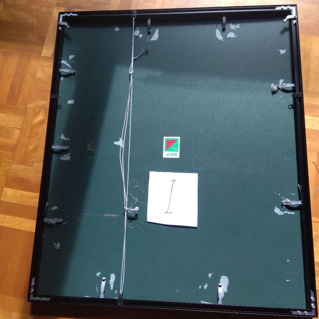 FUJIFILM写真展示用フレーム 全紙2 全紙3枚組2 半切2 4切