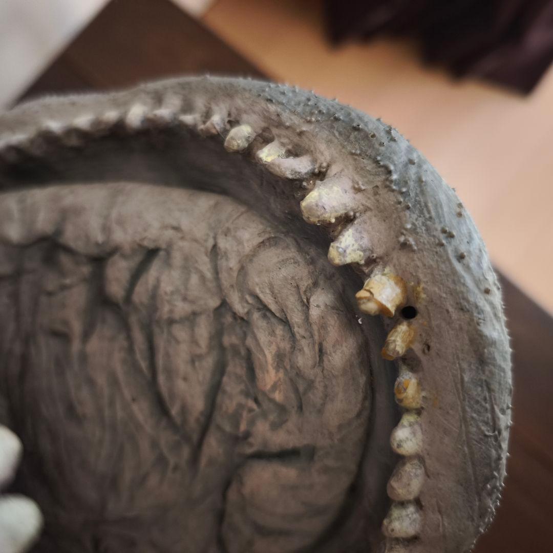 スターウォーズエピソード5帝国の逆襲　エクソゴース　スペーススラッグ　ファルコン