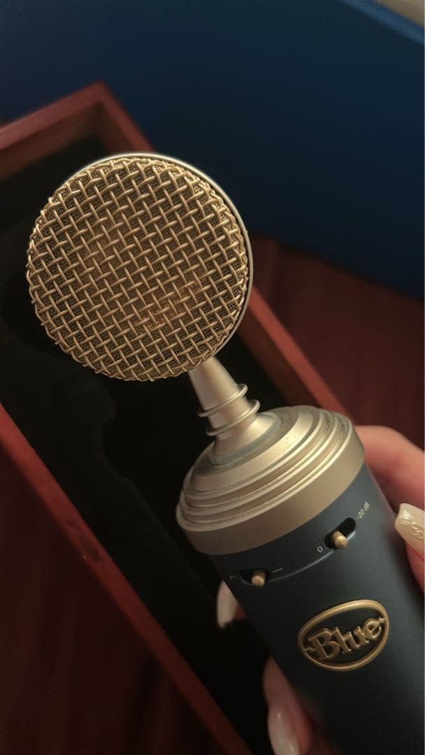 Blue Bluebird SL コンデンサーマイク