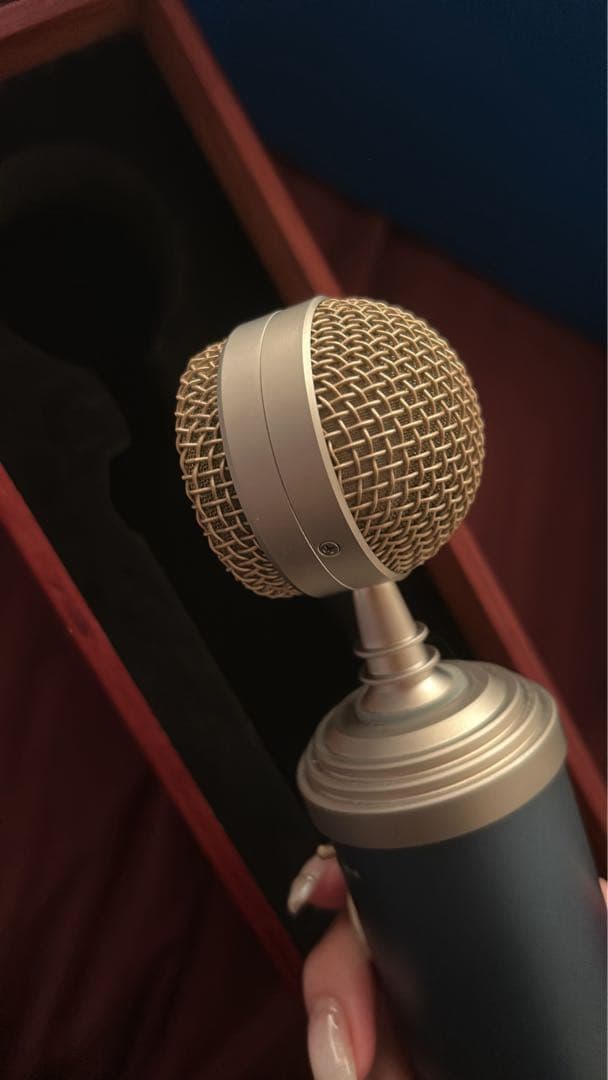 Blue Bluebird SL コンデンサーマイク