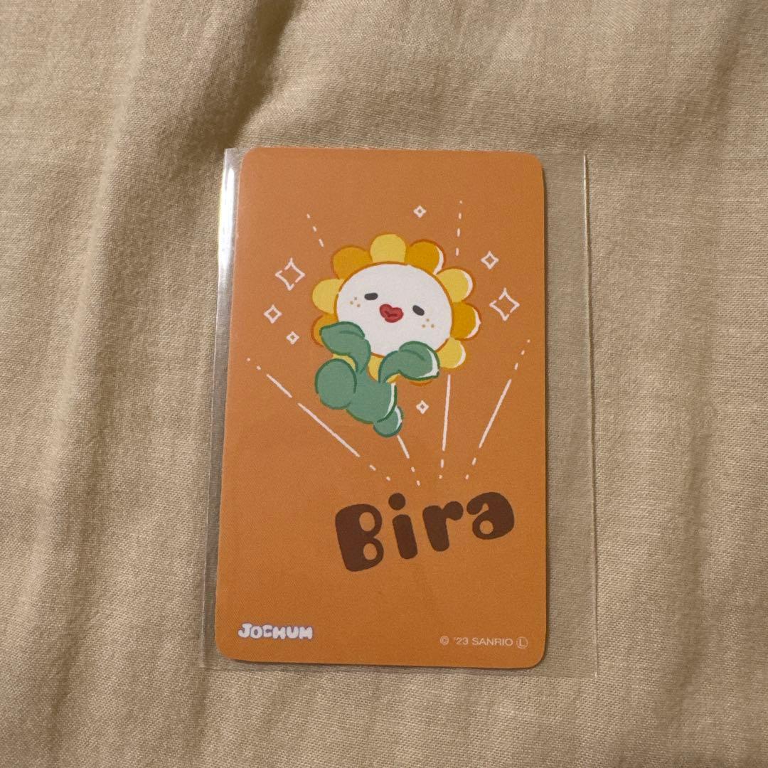 JOCHUM Bira ビラ 佐藤景瑚 グッズ まとめ売り JOCHUM Bira ビラ 佐藤