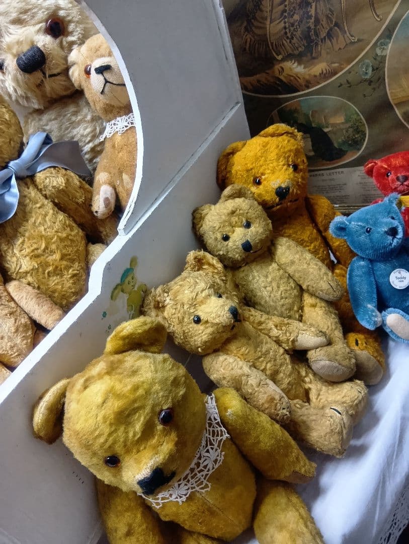 カータン♥ドイツからやって来た素直そうな　アンティーク　テディベア♥