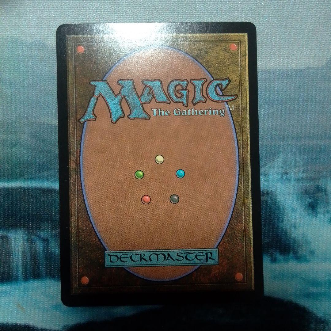 MTG《行き届いた書庫》英語foil - メルカリ