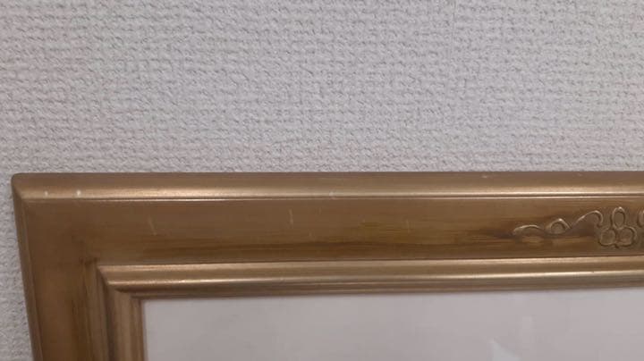 J.トレンツ・リャド「ブーゲンビリア」リトグラフ♪値下げしました