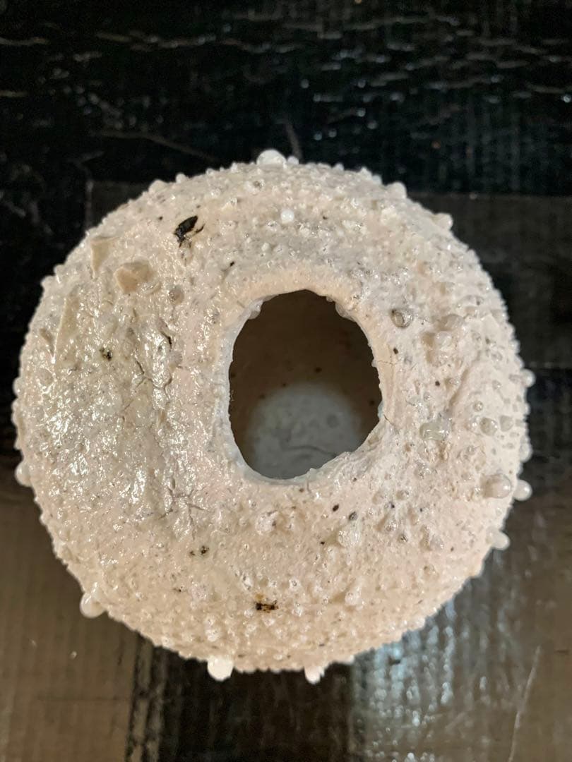 辻村史朗　白信楽小壺　B