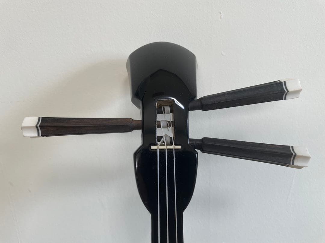 本蛇革】三線&入門本2冊