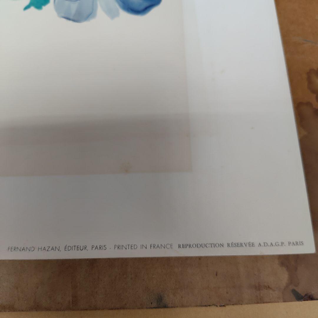 アネモネ　デュフ