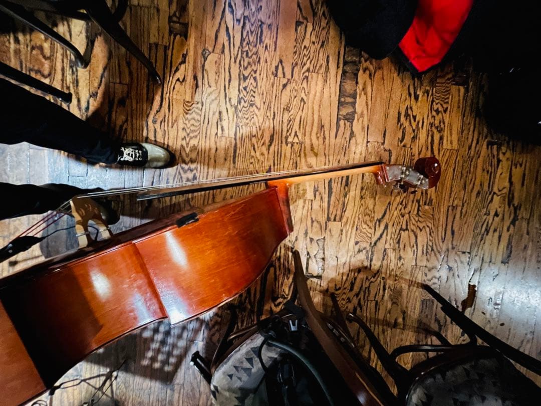 Oriente HO-20スピロコア弦 リアリストピックアップソフトケース付