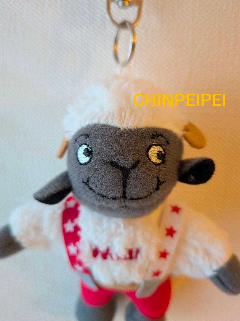 Wolli　ウォーリー　スイス　BTS JUNG KOOK　イゲマジャ