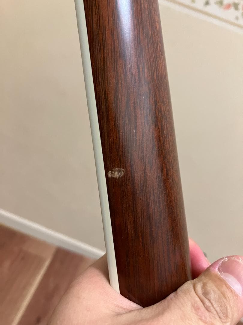 TAYLOR 810-BCE 2000年製 塗装剥がれあり 完動品 ハードケース - メルカリ