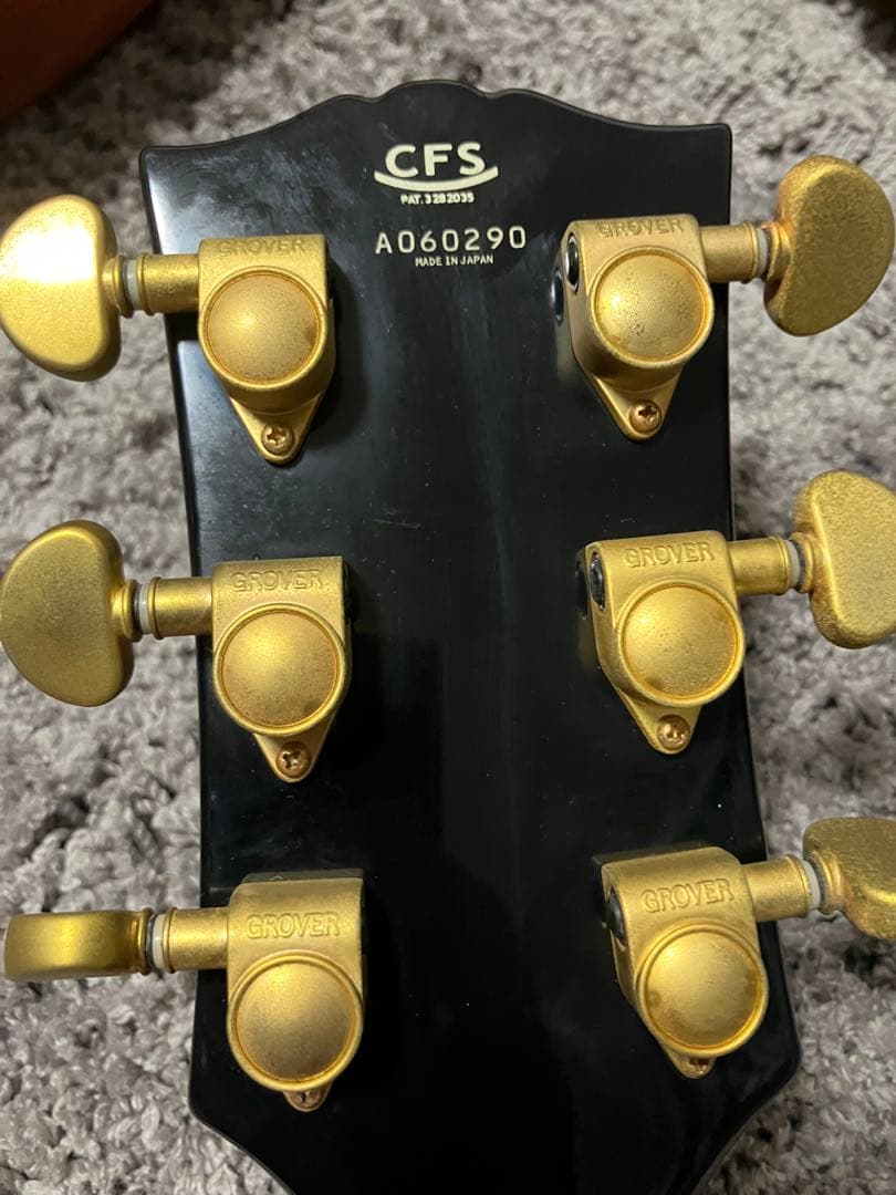 HISTORY DIGNITY レスポール エレキギター　ソフトケース付き