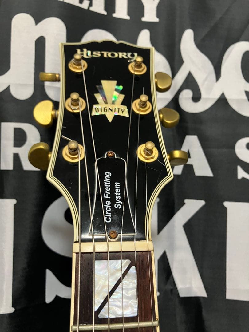 HISTORY DIGNITY レスポール エレキギター　ソフトケース付き