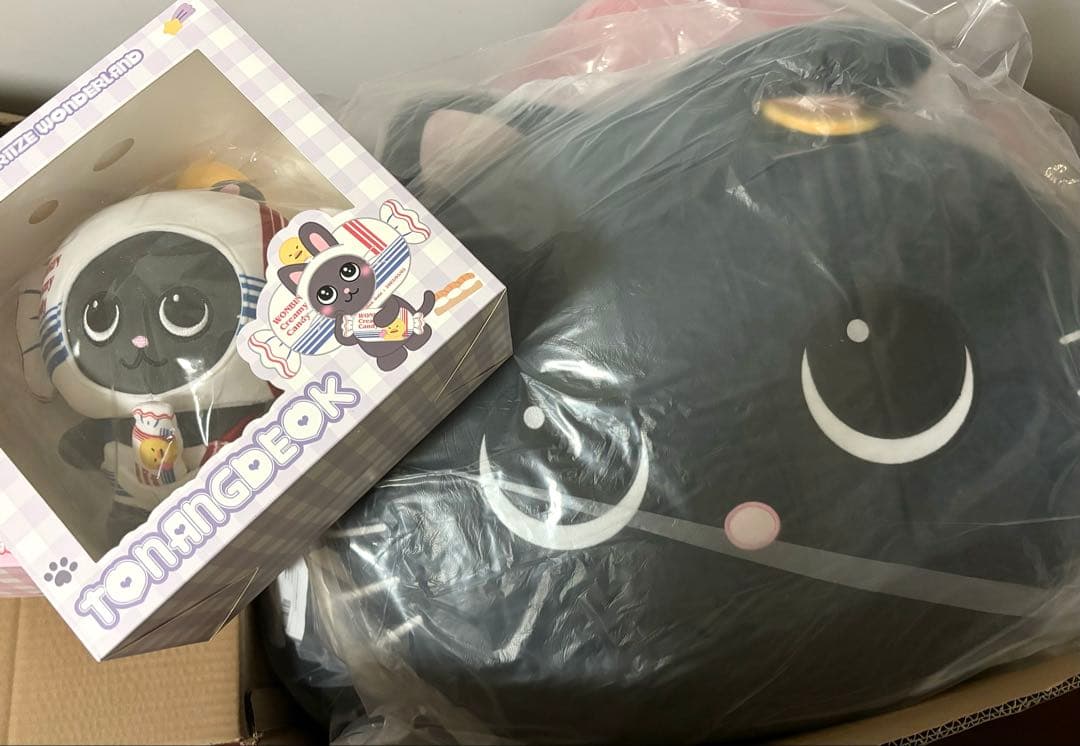 RIIZE wonbin ウォンビン バッグ 中国限定 RIIZE ウォンビン中国上海