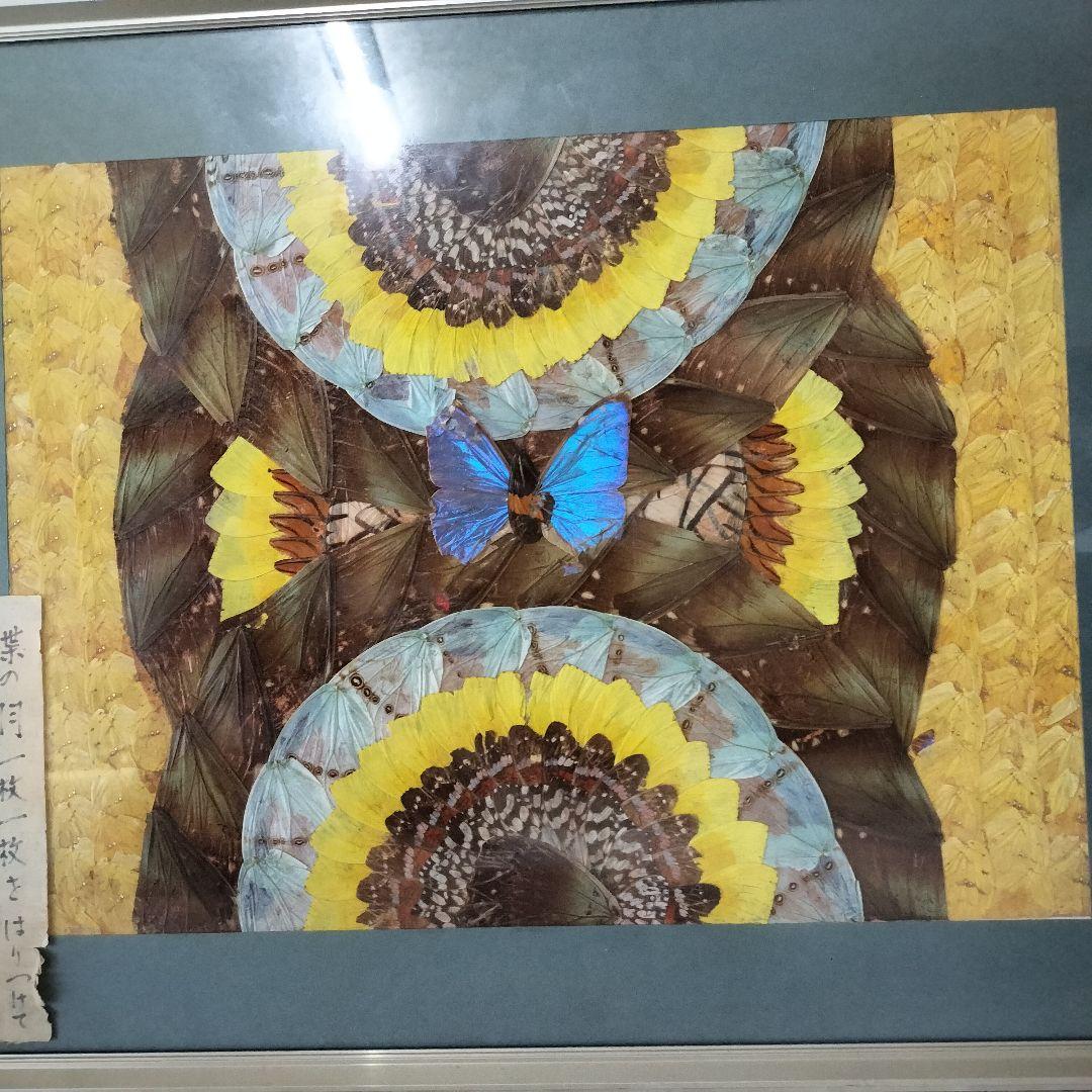 希少　蝶々の羽根を貼り合わせた作品　ブラジル