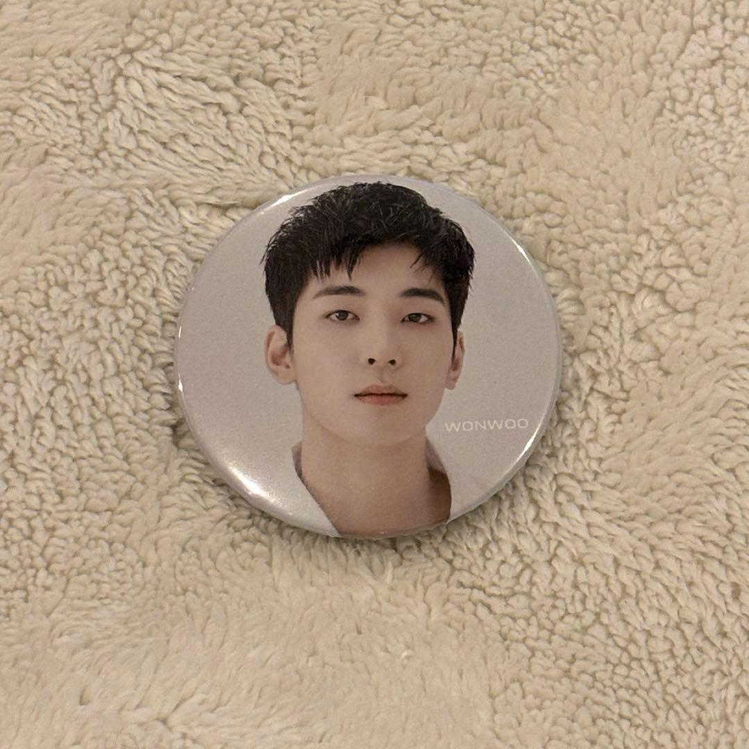 SEVENTEEN セブチ HMV 24H 缶バッジ ウォヌ