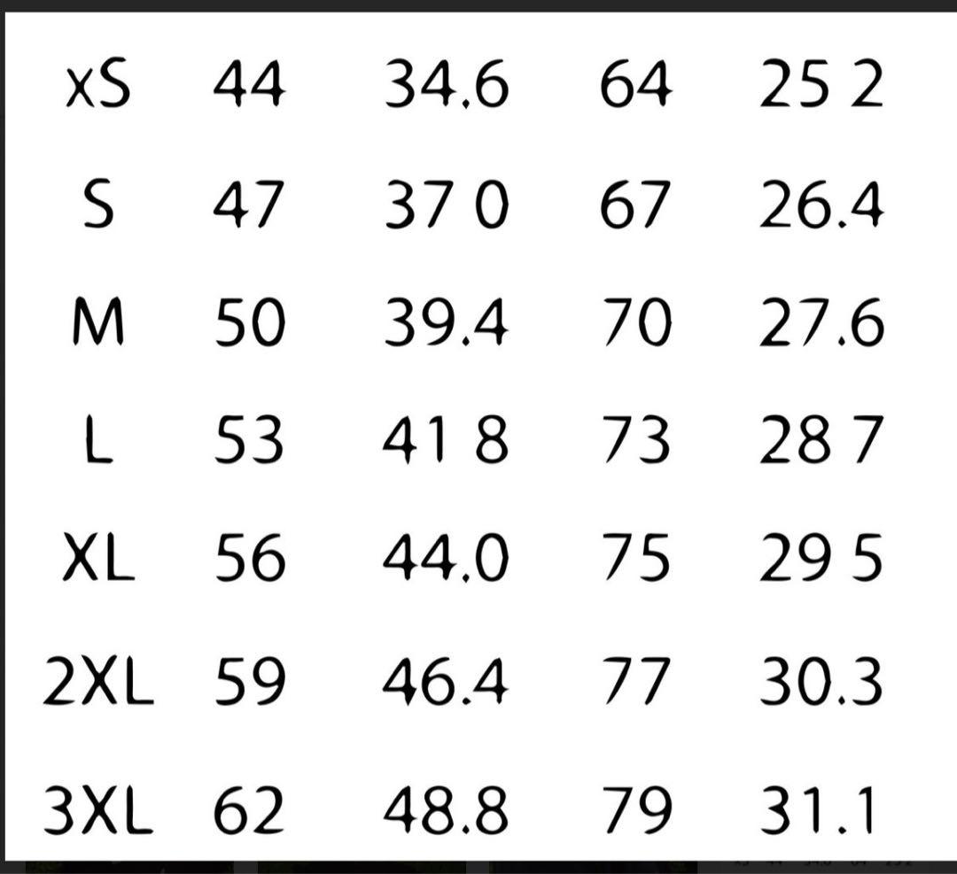Srirajah rockersTシャツ レア 未開封