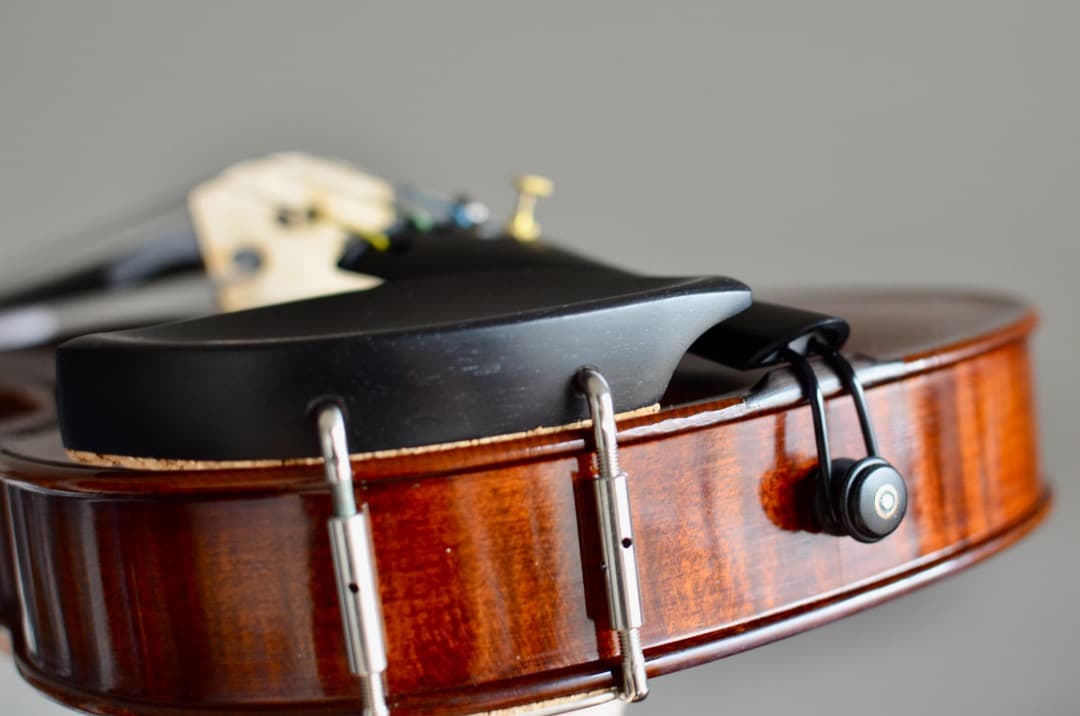 【銘器】R.Paesold No.804A バイオリン 4/4