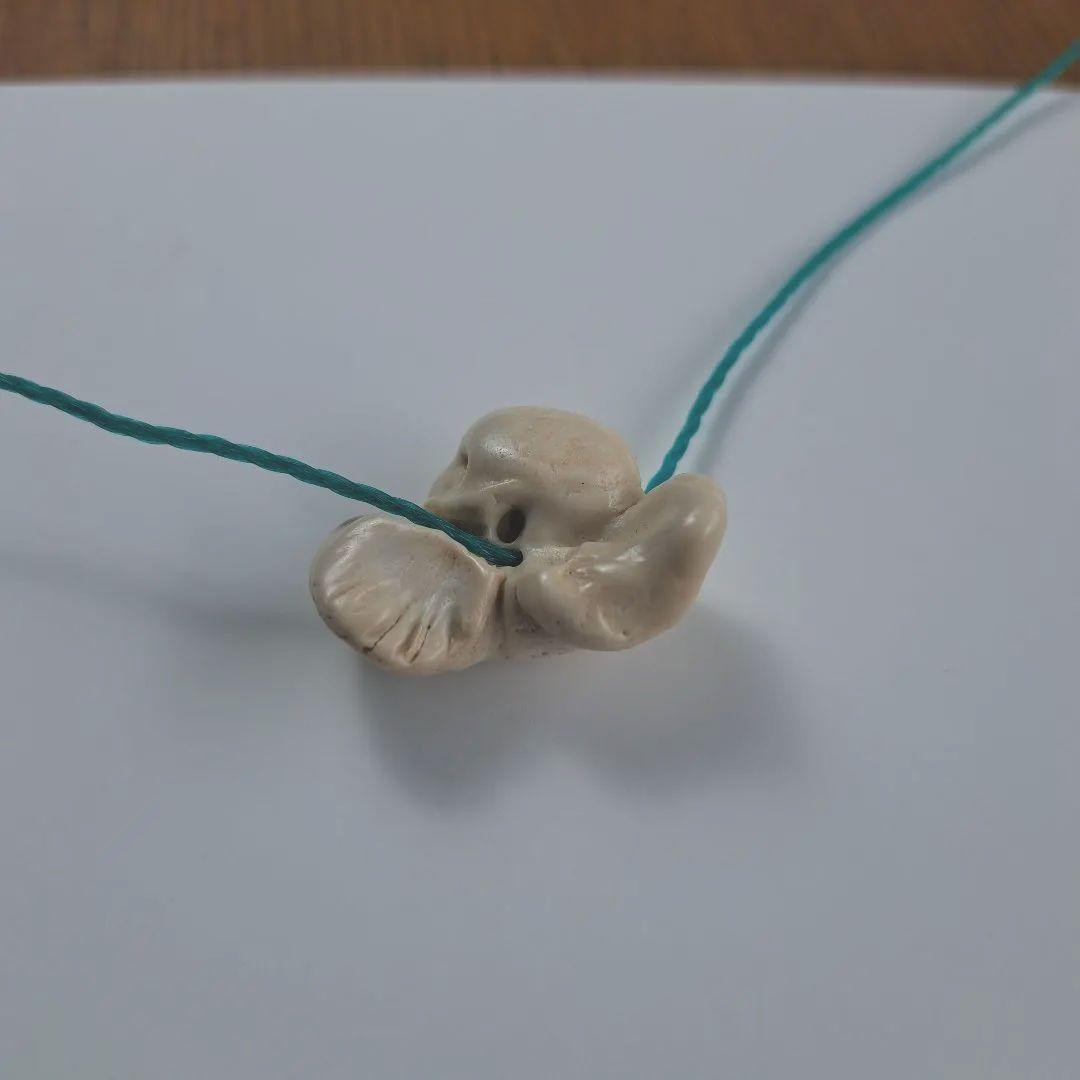 イルカの耳骨【大きさ2.7㎝ ③】 - メルカリ