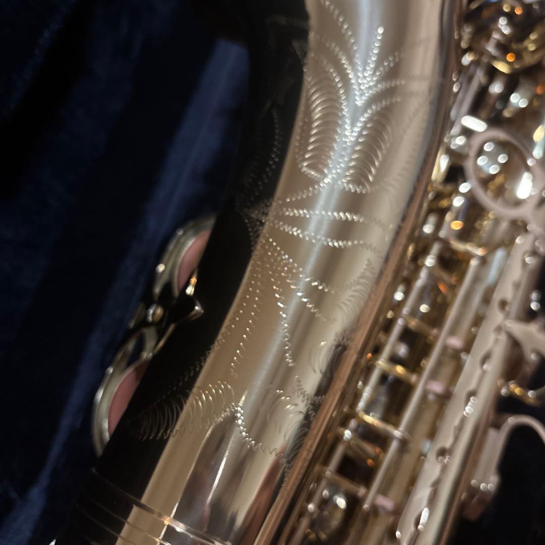 アルトサックス ケース、クリーナー、サックスを飾る用の3脚付き