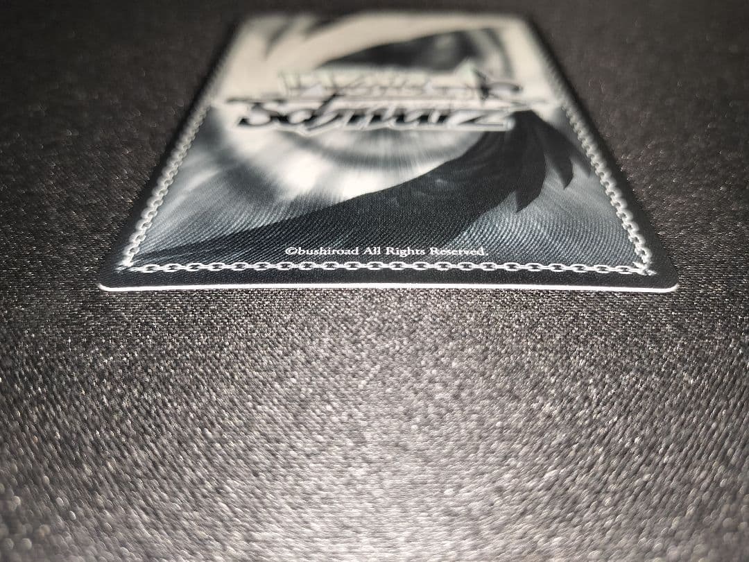 WS 時々ボソッとロシア語でデレる隣のアーリャさん PR+