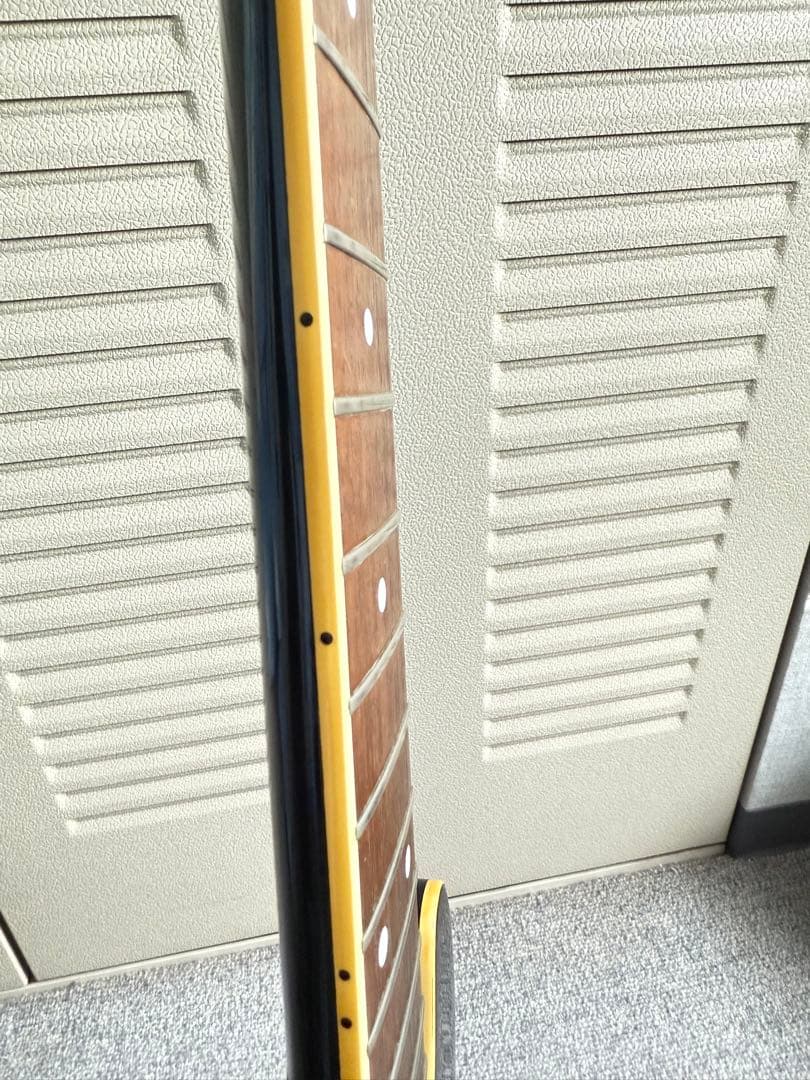 FERNANDES TEJ-75　白文字F.G.I