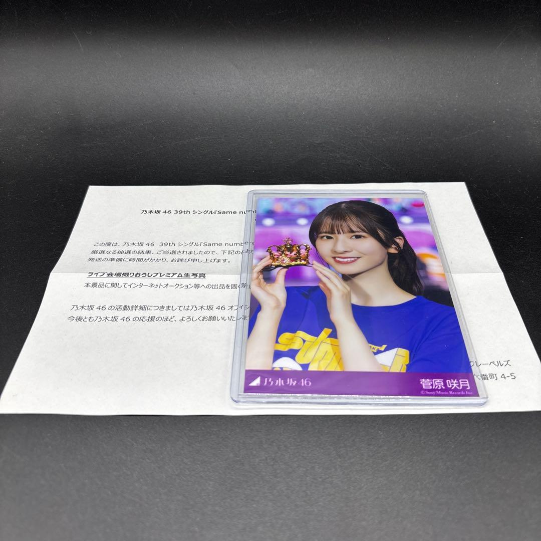 菅原咲月 Same numbers スペシャルプレゼント プレミアム生写真 菅原咲月 乃木坂46 Same numbers 封入 生写真 4枚 コンプ｜Yahoo