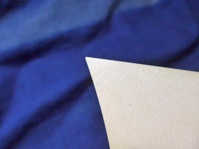 三味線の乳白色の撥です。目だつ傷はありませんが大変古いものです