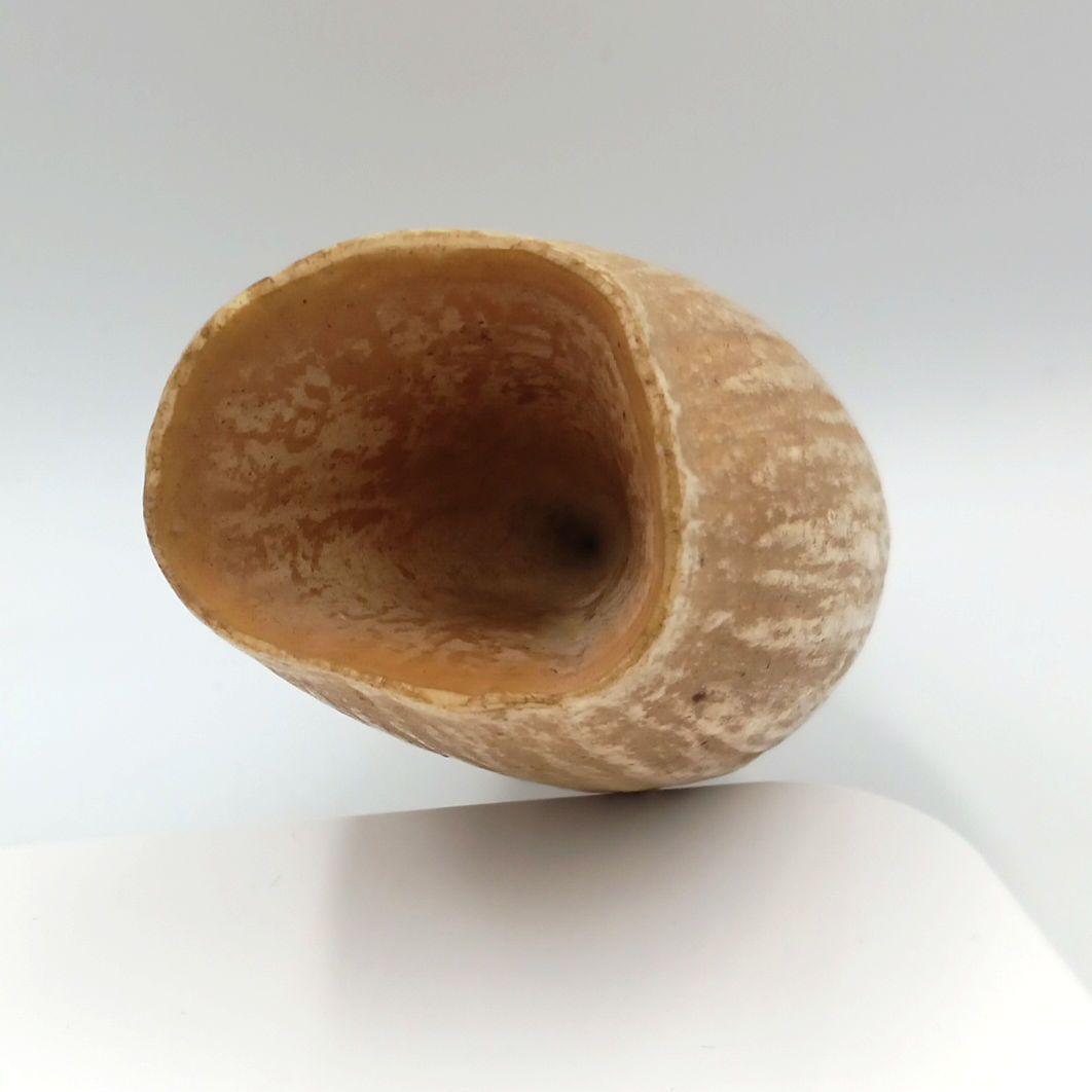 マッコウクジラ 歯 鯨歯 特大 422g 印材や工芸品の素材などに