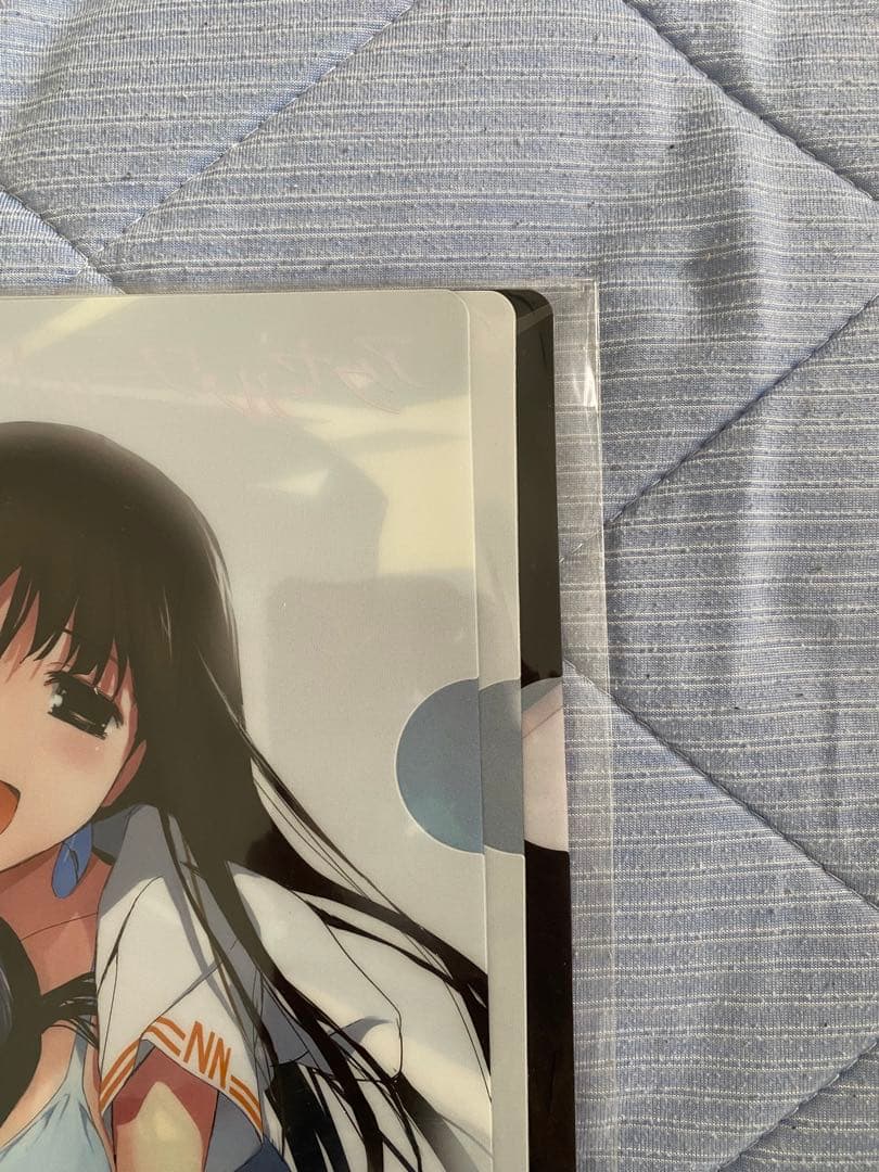 アクセルワールド クリアファイル