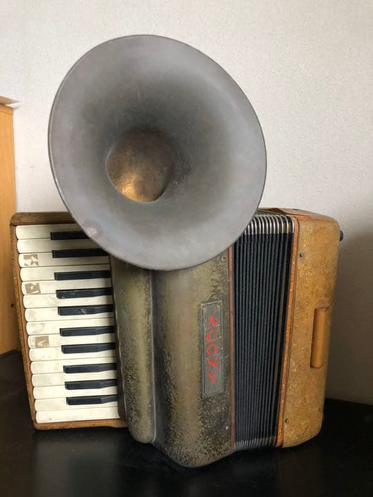 トンボ　　ACONY ACON 13 HD Rectangular Trampoline with Net and Ladder – Marin