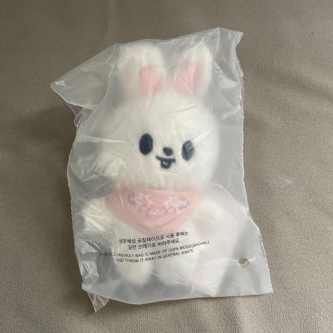 StrayKids SKZOO テディベア リービット3個セット - メルカリ