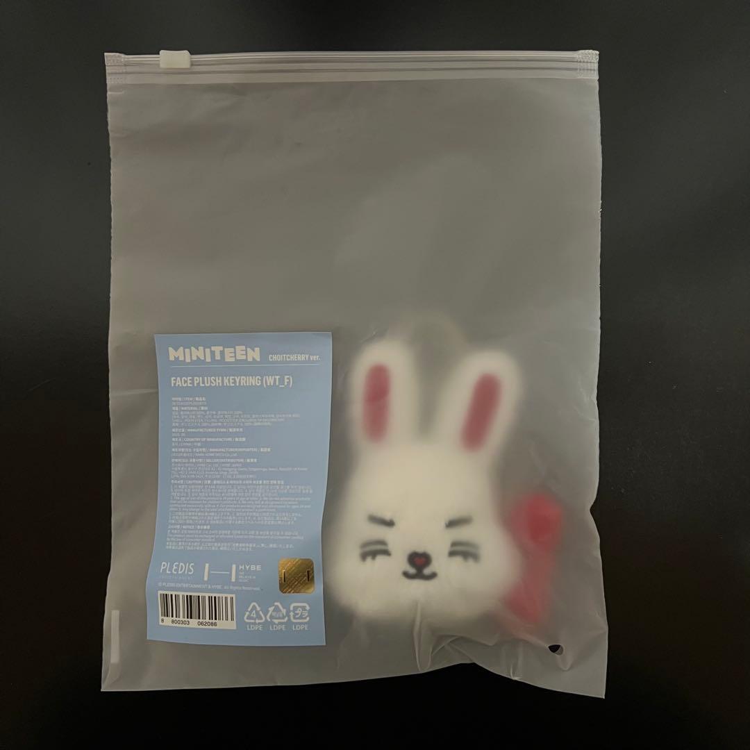 SEVENTEEN MINITEEN エスクプス チェチェリー キーリング - メルカリ