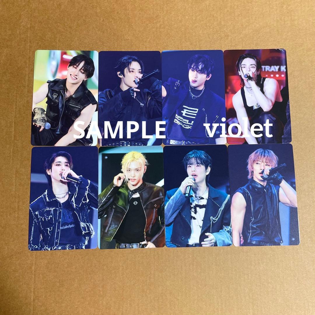 Stray Kids TOY WORLD トレカ 2種 タワレコ 特典 24枚