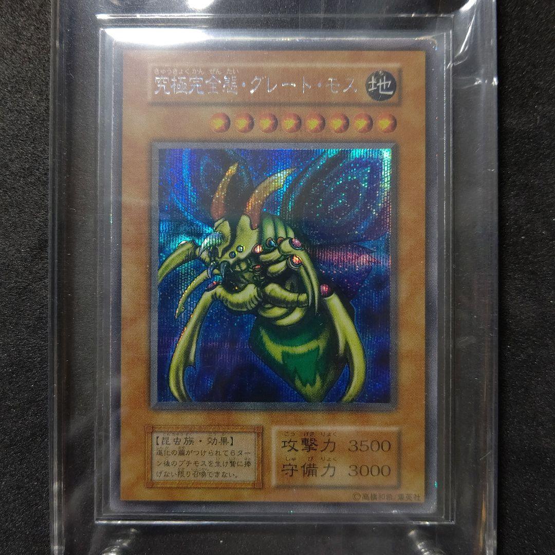 究極完全態・グレート・モス  ホーリー・ナイト・ドラゴン