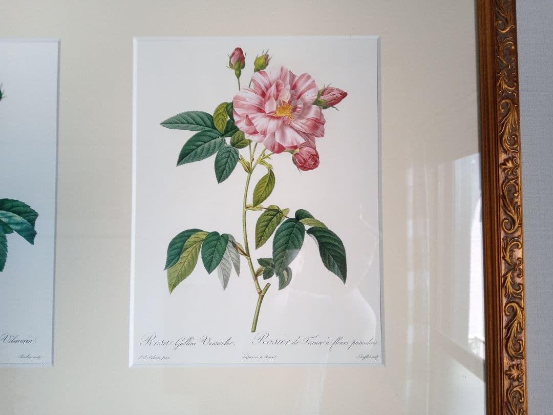 ルドゥーテ　大型アートパネル