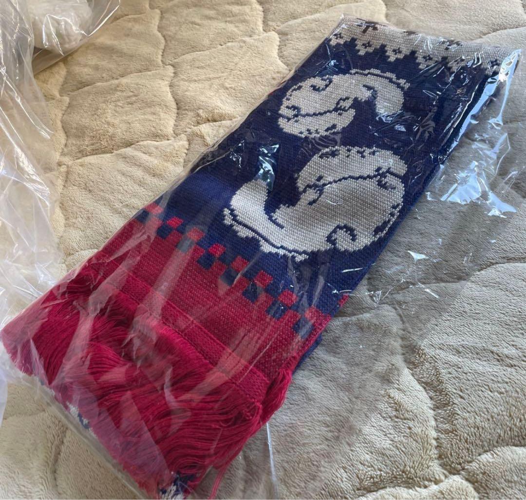 N*A様 2025年マフラー付きオオサンショウウオぬいぐるみ　雪ver. 京都水