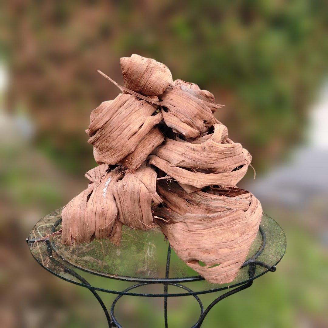 さーちゃん 青森岩木山産 山葡萄 皮 樹皮 約2kg+B品3kg