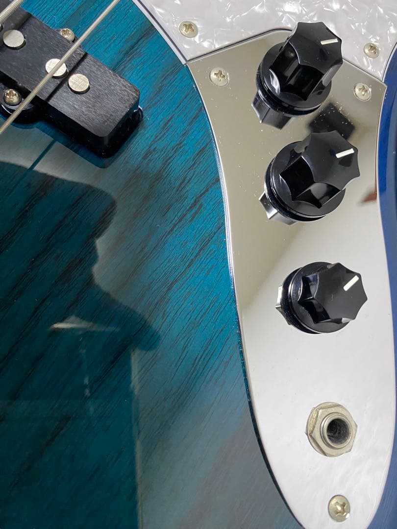 FUJIGEN SNJB101-SBB ネオクラシック FUJIGEN SNJB101-SBB ネオ