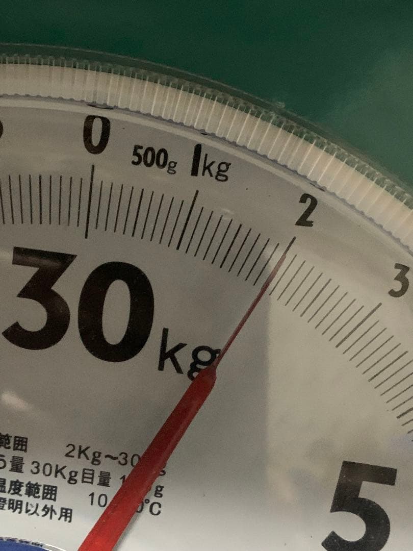 寛永通宝　背文　全700枚以上　特2